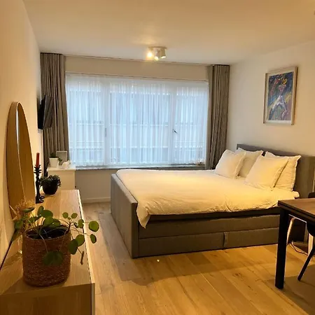 Cosy Testerep , Newly Renovated Appartement