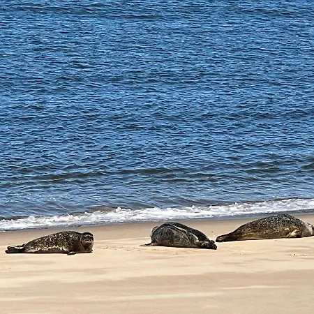 Cosy Testerep , Newly Renovated Appartement Ostende