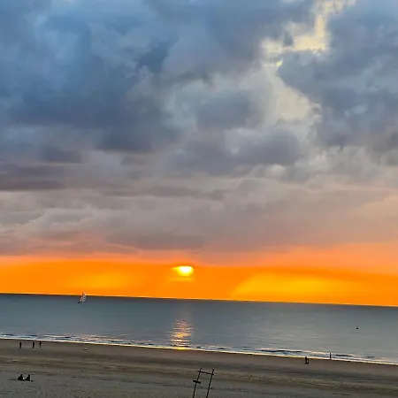 Appartement Cosy Testerep , Newly Renovated