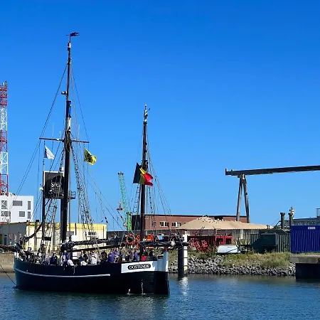 Appartement Cosy Testerep , Newly Renovated