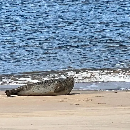 Cosy Testerep , Newly Renovated Apartmán *