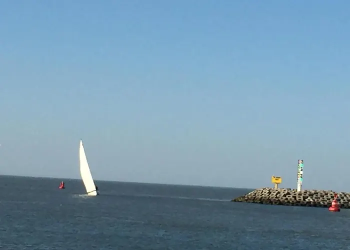 Appartement Cosy Testerep , Newly Renovated *