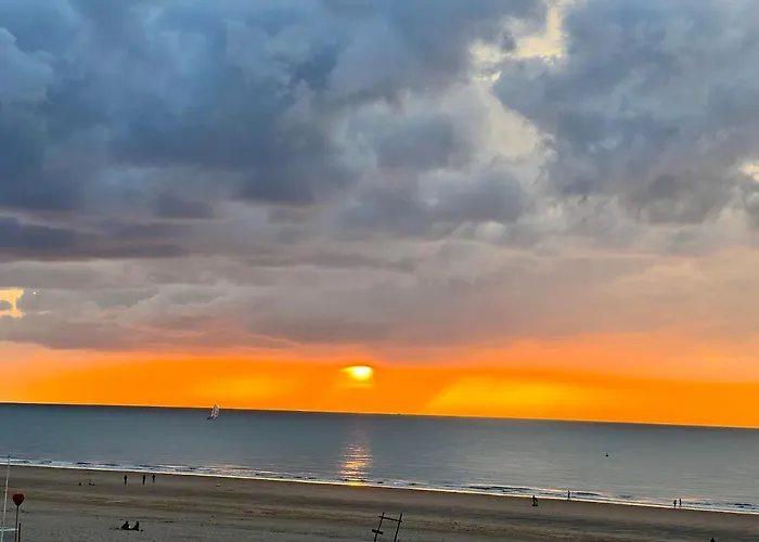 Appartement Cosy Testerep , Newly Renovated